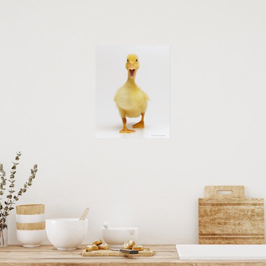 Poster Canard (Cuisine)