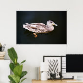 Poster Canard 907b (Bureau à domicile)