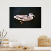 Poster Canard 907b (Cuisine)