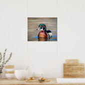 Poster Canard à bois dans un étang (Cuisine)