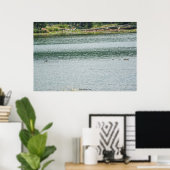Poster Canard à col rond (Bureau à domicile)