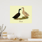 Poster Canard à couchage hybride (Cuisine)