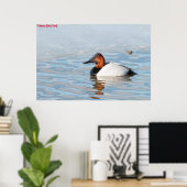 Poster Canard à dos cannelle (Bureau à domicile)