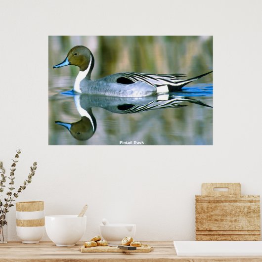 Poster Canard à intail (Cuisine)