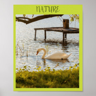 Poster Canard à l'aquarelle vintage dans la toile d'art d