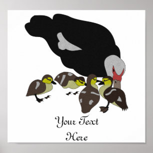 Poster Canard à moelle et canard adorable