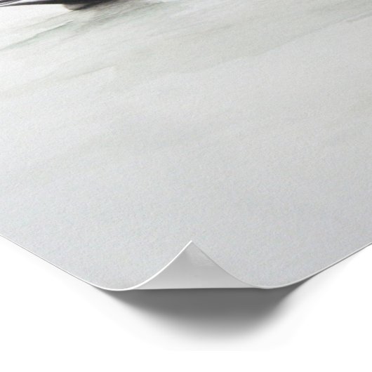 Poster Canard à ongles 2011 (Coin)