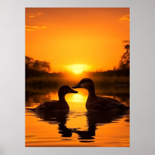 Poster Canard au coucher de soleil magnifique