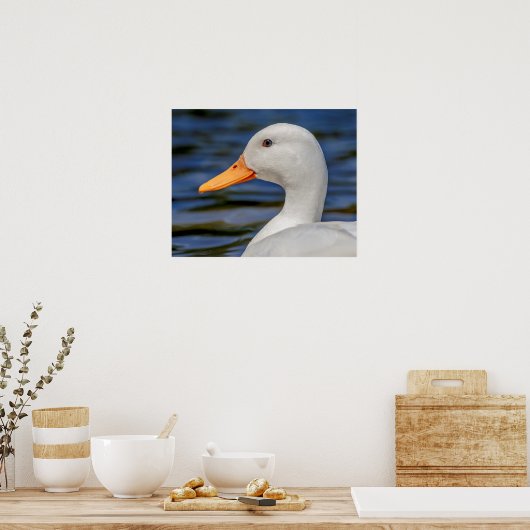 Poster Canard blanc (Cuisine)