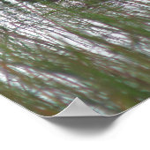 Poster Canard Brown Sauvage Dans La Nature De L'Étang (Coin)