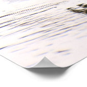 Poster Canard colvert (Coin)