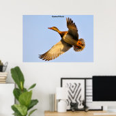 Poster Canard colvert à tête rouge (mais plus précisément (Bureau à domicile)