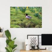 Poster Canard colvert sur la rive d'une rivière (Bureau à domicile)