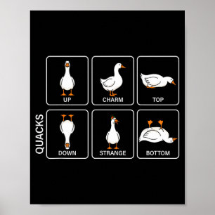 Poster Canard de blague de physique drôle mème de coin-co