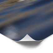 Poster Canard de l'oeil d'or mâle (Coin)