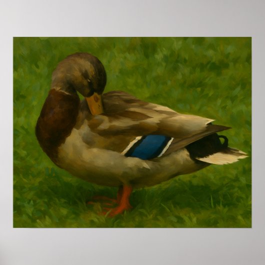 Poster Canard de Mallard dans la prairie (Devant)