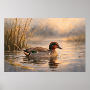 Poster Canard des marais Art de la faune côtière Affi
