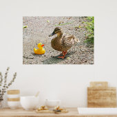 Poster Canard en caoutchouc et canard mère (Cuisine)