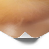 Poster Canard Jaune Fuzzy Bébé de Pâques Canard (Coin)