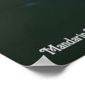 Poster Canard mandarin (Coin)