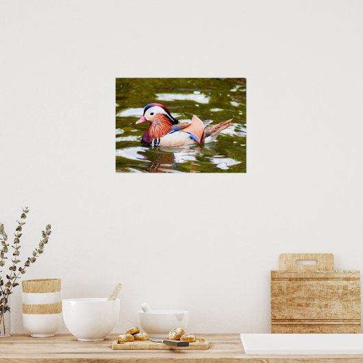 Poster Canard mandarin (Cuisine)