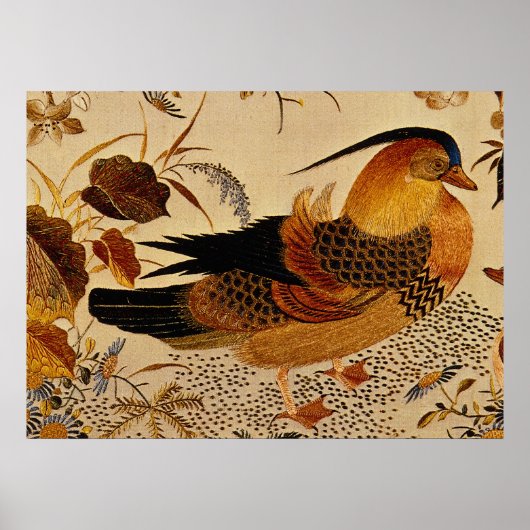 Poster Canard mandarin (Devant)