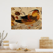 Poster Canard mandarin (Cuisine)