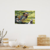 Poster Canard mandarin (Cuisine)