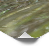 Poster Canard mandarin à patauger le long (Coin)