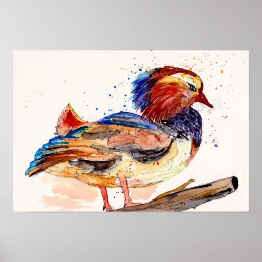 Poster Canard Mandarin Aquarelle (Devant)