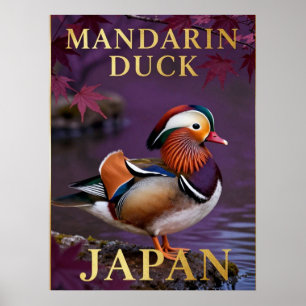 Poster 🦆 Canard mandarin Japon Oiseau exotique