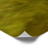 Poster Canard Meganser (Coin)