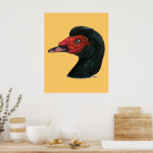 Poster Canard : Muscovy Head (Cuisine)