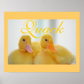 Poster Canard Oiseau Animal Mignon Poulet Coince (Devant)