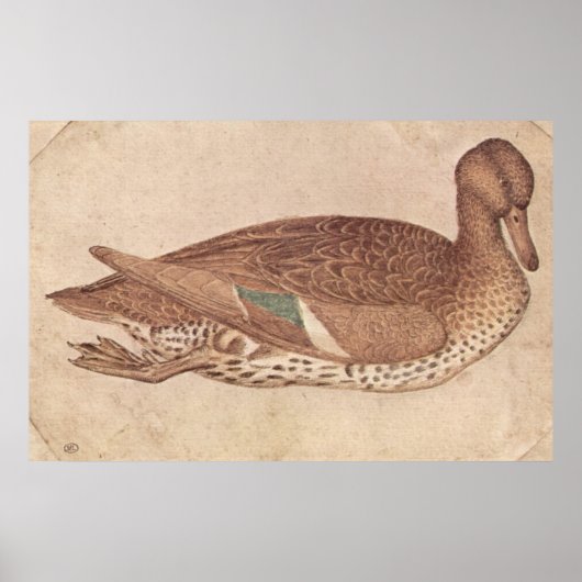 Poster Canard - Pisanello - c1440 (Devant)