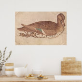Poster Canard - Pisanello - c1440 (Cuisine)