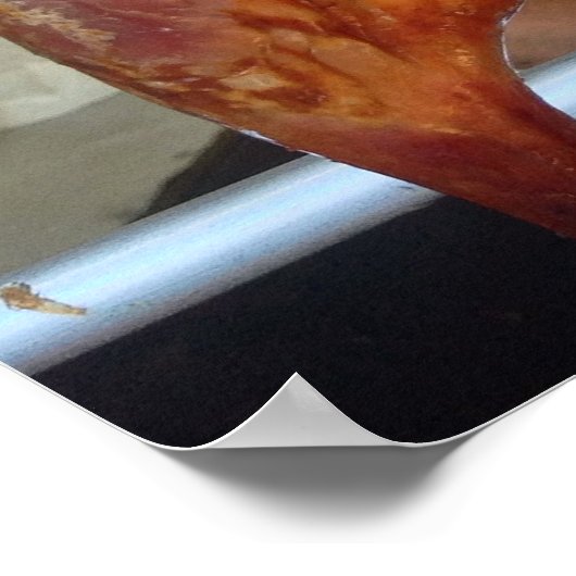 Poster Canard rôti (Coin)