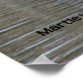 Poster Canard solitaire (Coin)