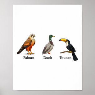 Poster Canard toucan faucon oiseaux subtil anti Trump