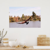 Poster canard volant pleine envergure au-dessus de l'eau (Cuisine)