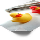 Poster Canards (Coin)