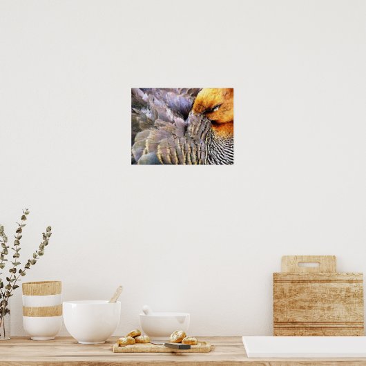 POSTER CANARDS (Cuisine)