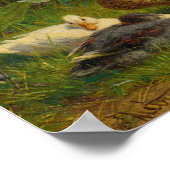 Poster Canards (Coin)