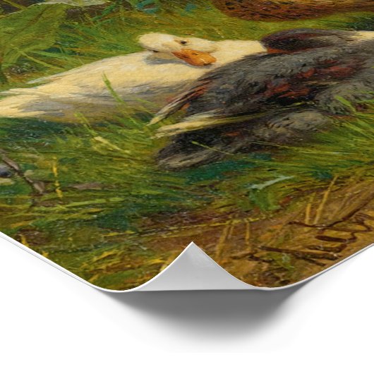 Poster Canards (Coin)
