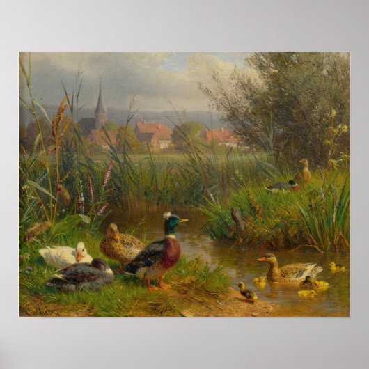 Poster Canards (Devant)