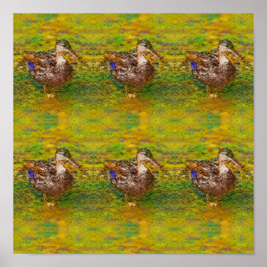 Poster Canards Abstraits Dans Une Ligne Couleur Photo Cro (Devant)