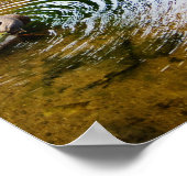 Poster Canards adultes 2 (Coin)