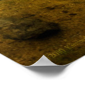 Poster Canards adultes 2 (Coin)