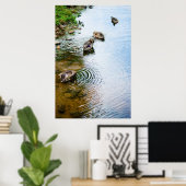 Poster Canards adultes 2 (Bureau à domicile)