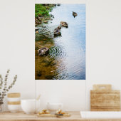 Poster Canards adultes 2 (Cuisine)